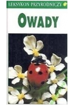 Owady