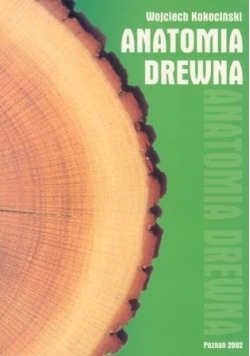 Anatomia drewna