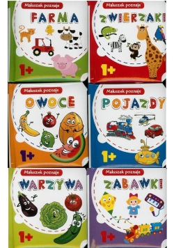Maluszek poznaje MIX 10x10 (18szt)