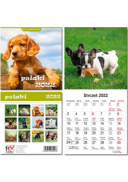 Kalendarz 2022 13 plansz Psiaki