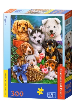 Puzzle Castorland Puppies 300