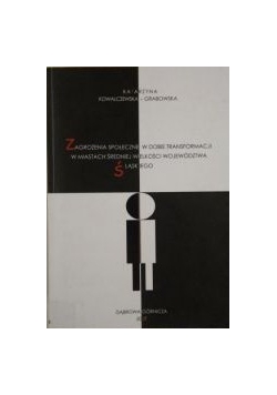 Zagrożenia społeczne w dobie transformacji w miastach średniej wielkości województwa śląskiego