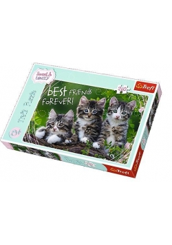 Puzzle 260 - Kocia przyjaźń TREFL