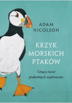 Krzyk morskich ptaków
