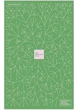 Why Information Grows