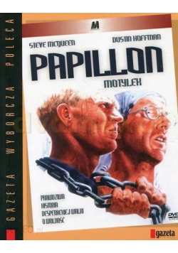 Papillon motylek