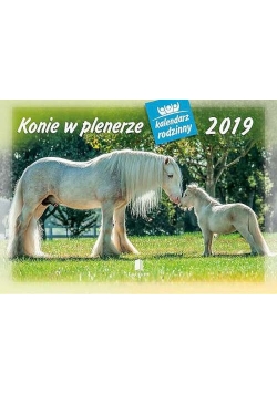 Kalendarz 2019 WL 10 Konie w plenerze