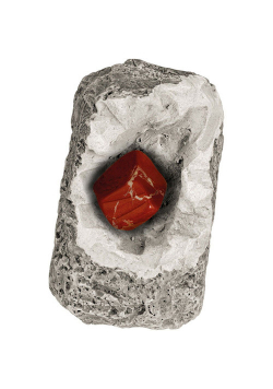 Minerały i skamieliny