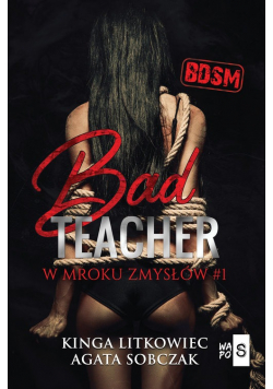 Bad Teacher W mroku zmysłów 1