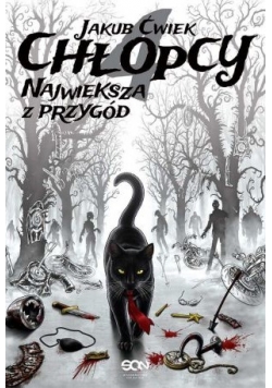 Chłopcy 4 Największa z przygód