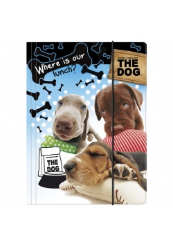 Teczka z gumką A4 The Dog DERFORM
