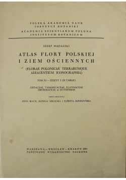 Atlas Flory Polskiej i ziem ościennych tom XI zeszyt 3