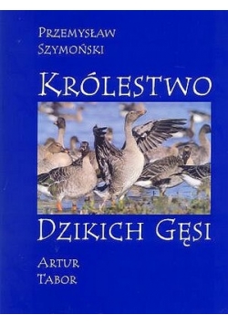 Królestwo Dzikich Gęsi