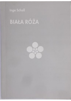 Biała róża