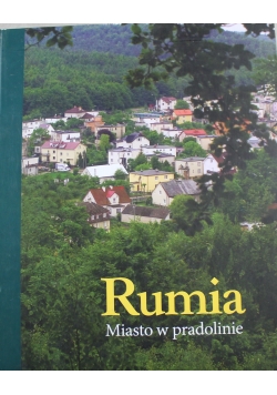 Rumunia miasto w pradolinie