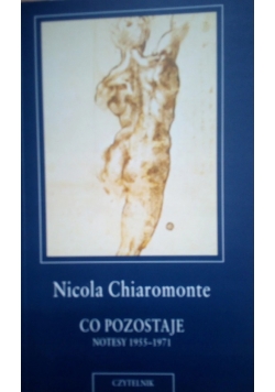 Co pozostaje Notesy 1955 - 1971