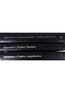 Rzeczpospolita Obojga Narodów/ Polska Piastów/Polska Jagiellonów
