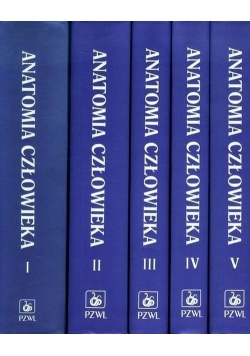 Anatomia człowieka 1-5