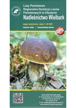 Nadleśnictwo Wielbark