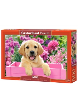 Puzzle 500 Labrador Puppy in Pink Box CASTOR