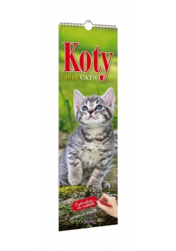 Kalendarz 2019 KP-2 Koty