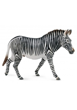 Zebra Grevy's