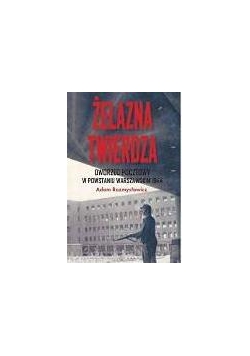 Żelazna twierdza