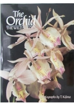The Orchid The Wild Species