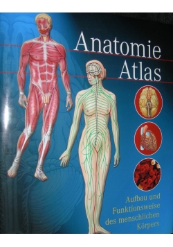 Anatomie Atlas