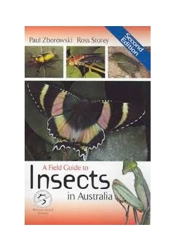 A field guide to Insects in Australia