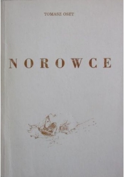 Norowce