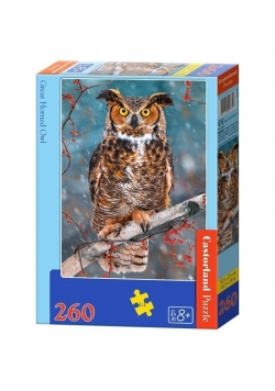 Puzzle 260 Wielka sowa CASTOR