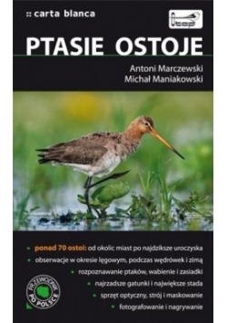 Ptasie ostoje