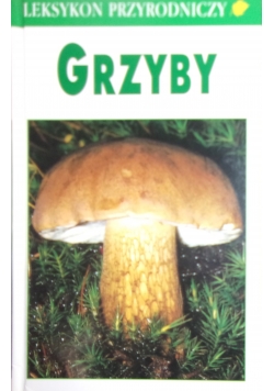 Grzyby