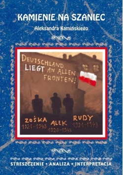 Streszczenia - Kamienie na szaniec w.2015 LITERAT