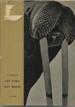 Czy foka jest biała?