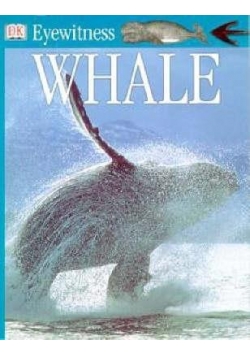 Eyewitness Whale