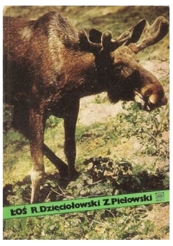 Łoś