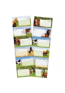 Naklejki na zeszyt Horses (25szt)