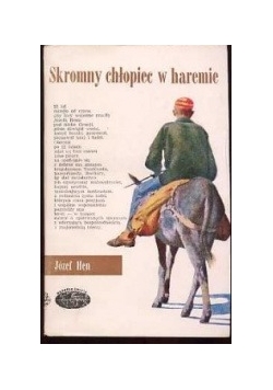 Skromny chłopiec w haremie