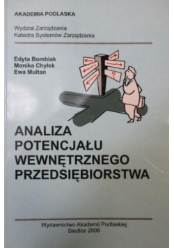 Analiza potencjału wewnętrznego przedsiębiorstwa