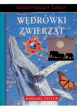 Wędrówki zwierząt