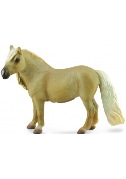 Klacz Falabella Mare Palomino