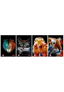 Brulion B5/120K kratka Animal Fractals (5szt)