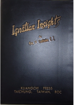 Ignatian Insights
