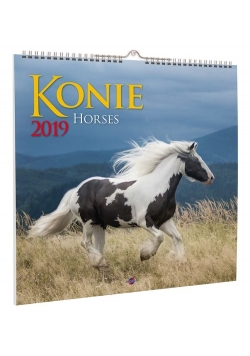 Kalendarz 2019 Konie