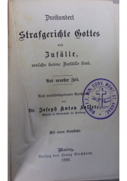 Dreihundert Strafgerichte Gottes und Butalle, 1886 r.