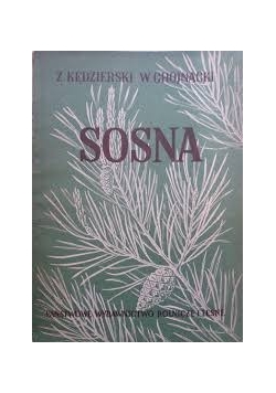 Sosna