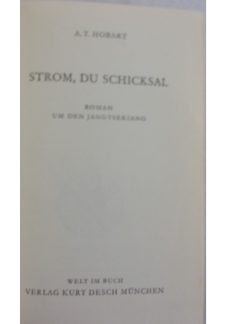 Strom, du Schicksal