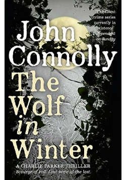 The wolf in the Winter